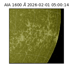 saia - 2026-02-01T05:00:14.125000