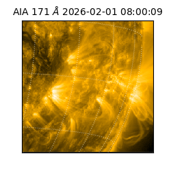 saia - 2026-02-01T08:00:09.342000