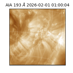 saia - 2026-02-01T01:00:04.843000