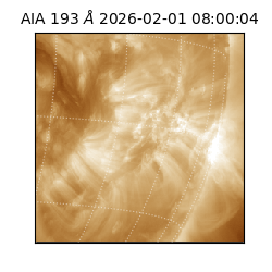 saia - 2026-02-01T08:00:04.835000