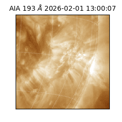 saia - 2026-02-01T13:00:07.367000