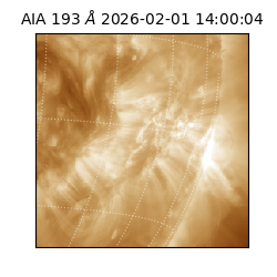 saia - 2026-02-01T14:00:04.843000