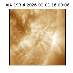 saia - 2026-02-01T16:00:06.780000