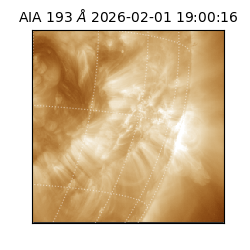 saia - 2026-02-01T19:00:16.843000