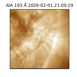 saia - 2026-02-01T21:00:29.627000