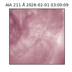 saia - 2026-02-01T03:00:09.637000