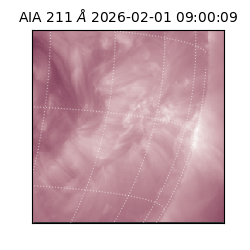 saia - 2026-02-01T09:00:09.626000