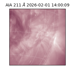 saia - 2026-02-01T14:00:09.625000