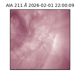 saia - 2026-02-01T22:00:09.625000