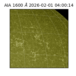 saia - 2026-02-01T04:00:14.125000