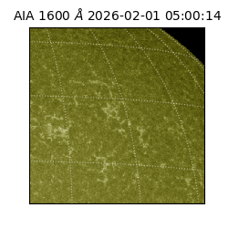 saia - 2026-02-01T05:00:14.125000