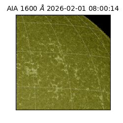 saia - 2026-02-01T08:00:14.118000