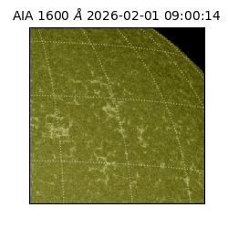 saia - 2026-02-01T09:00:14.130000