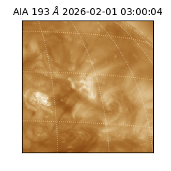 saia - 2026-02-01T03:00:04.843000