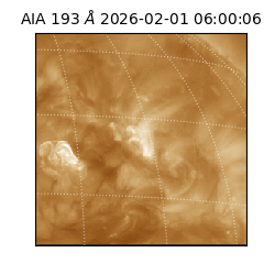 saia - 2026-02-01T06:00:06.616000