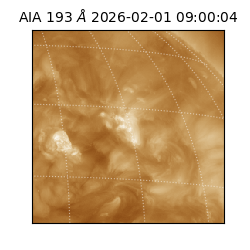 saia - 2026-02-01T09:00:04.843000