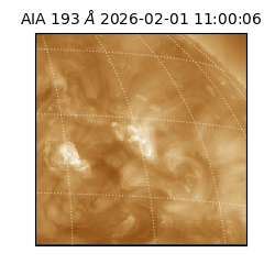 saia - 2026-02-01T11:00:06.614000