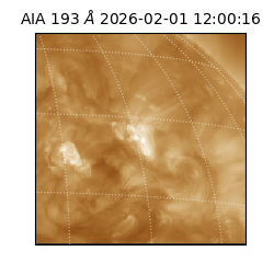 saia - 2026-02-01T12:00:16.835000