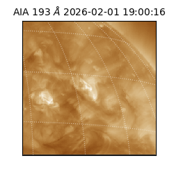 saia - 2026-02-01T19:00:16.843000