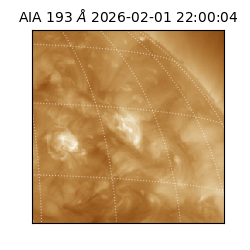 saia - 2026-02-01T22:00:04.843000