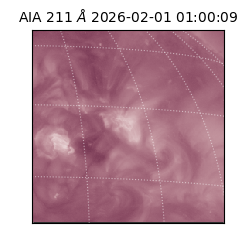 saia - 2026-02-01T01:00:09.624000