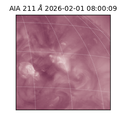 saia - 2026-02-01T08:00:09.618000