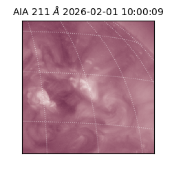 saia - 2026-02-01T10:00:09.622000