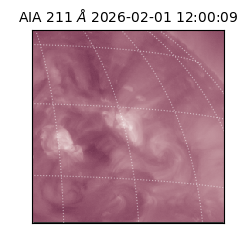 saia - 2026-02-01T12:00:09.633000