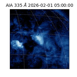 saia - 2026-02-01T05:00:00.625000