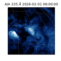 saia - 2026-02-01T06:00:00.631000