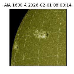 saia - 2026-02-01T08:00:14.118000