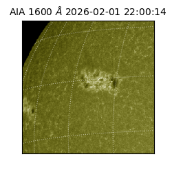 saia - 2026-02-01T22:00:14.132000