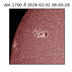 saia - 2026-02-01T09:00:28.717000