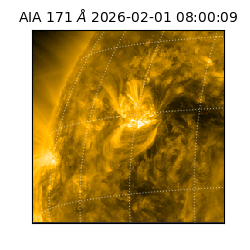 saia - 2026-02-01T08:00:09.342000