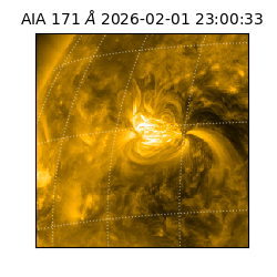 saia - 2026-02-01T23:00:33.349000