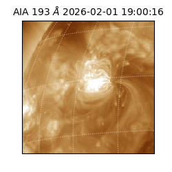 saia - 2026-02-01T19:00:16.843000