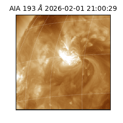 saia - 2026-02-01T21:00:29.627000