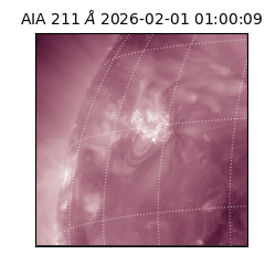 saia - 2026-02-01T01:00:09.624000