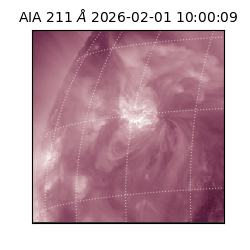 saia - 2026-02-01T10:00:09.622000