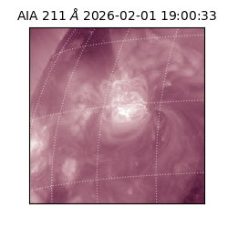 saia - 2026-02-01T19:00:33.626000