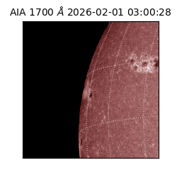 saia - 2026-02-01T03:00:28.721000