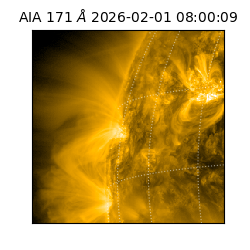 saia - 2026-02-01T08:00:09.342000