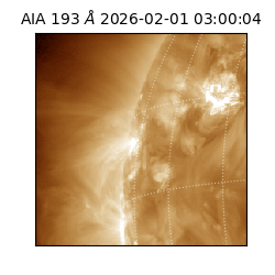 saia - 2026-02-01T03:00:04.843000