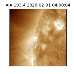 saia - 2026-02-01T04:00:04.843000