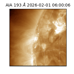 saia - 2026-02-01T06:00:06.616000
