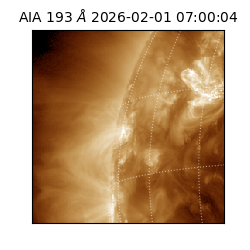 saia - 2026-02-01T07:00:04.843000