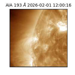 saia - 2026-02-01T12:00:16.835000