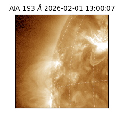 saia - 2026-02-01T13:00:07.367000