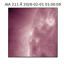 saia - 2026-02-01T01:00:09.624000