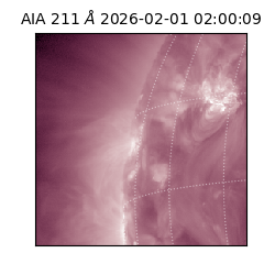 saia - 2026-02-01T02:00:09.632000